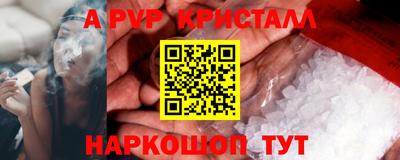 прущие крисы Будённовск