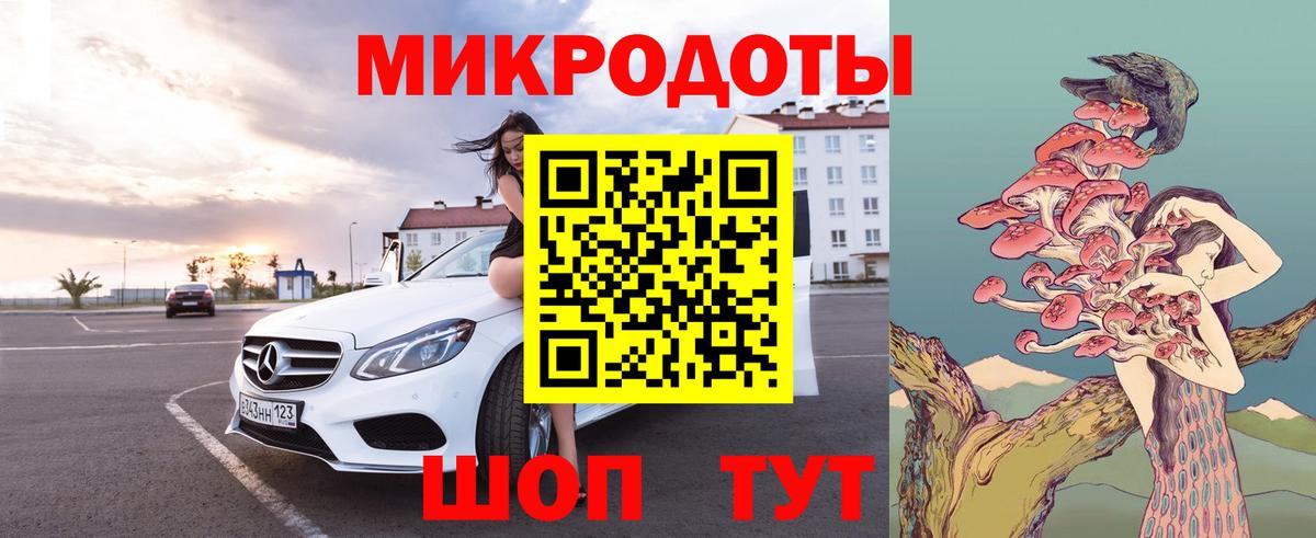 Псилоцибиновые грибы Psilocybe Волхов